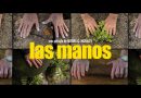 Dokumentarfilm Las Manos im Jameos del Agua